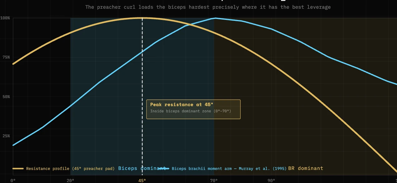 Graph overlaying the preacher curl resistance profile with the biceps leverage curve