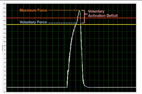 Force graph illustrating the gap between voluntary quad force and maximum possible force