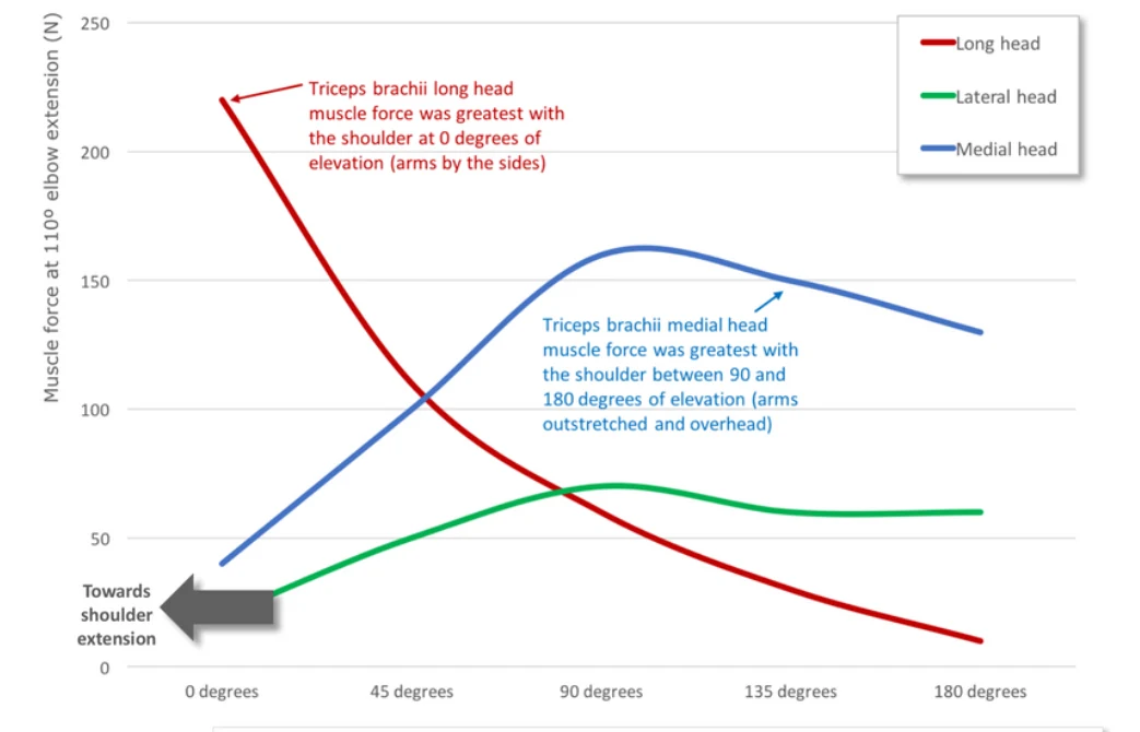 Graph comparing triceps head force as the shoulder moves from the side to overhead